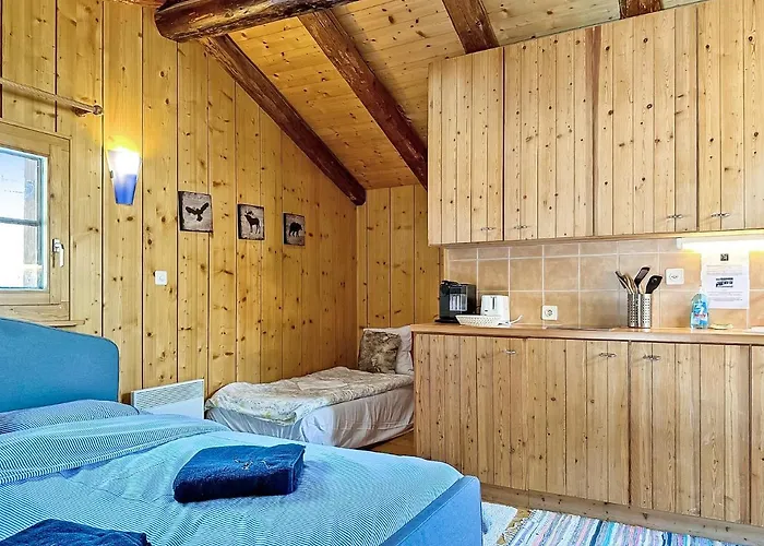 Alpesi faház Happiness Only! Bruson