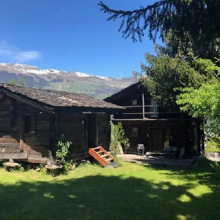 Happiness Only! Bruson